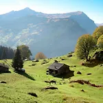 Apartman Baergbaechli By Interhome Grindelwald
