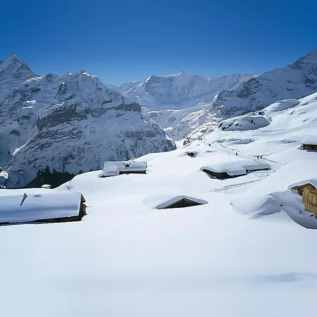 Apartment Baergbaechli By Interhome Grindelwald