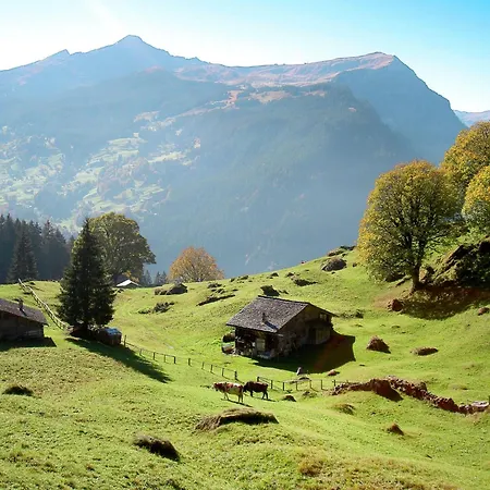 Apartmán Baergbaechli By Interhome Grindelwald
