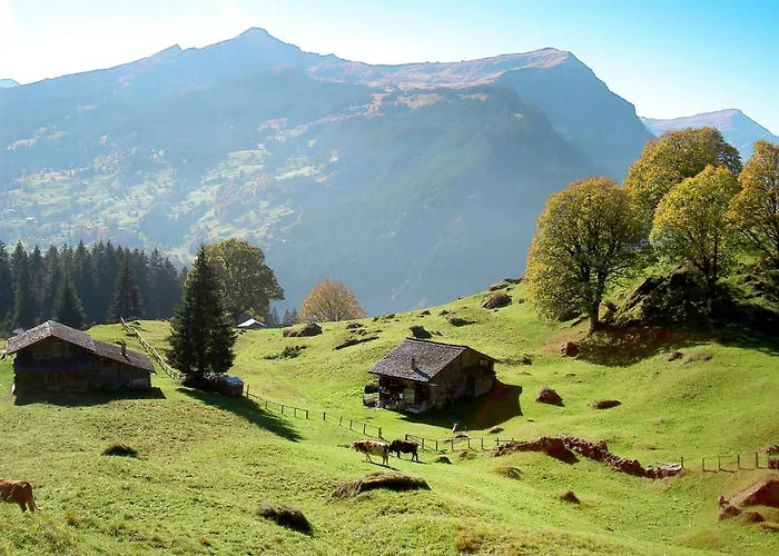 Apartment Baergbaechli By Interhome Grindelwald